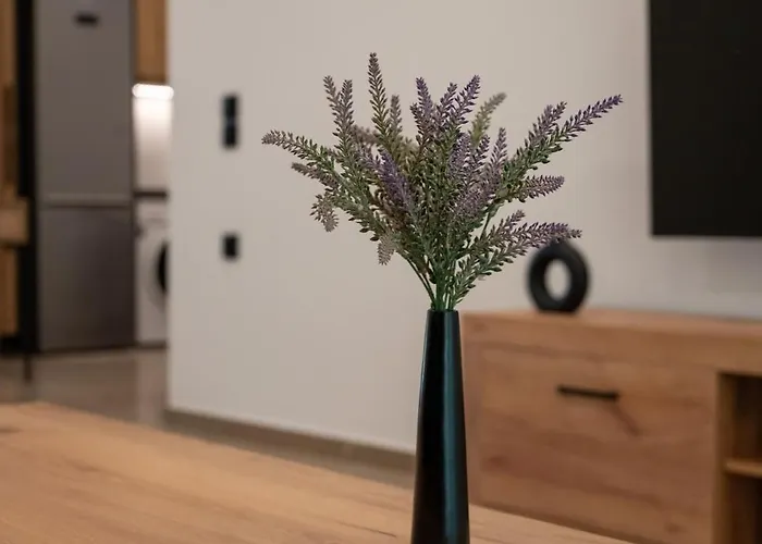 Filoxenia Mg Projects Sereno In *