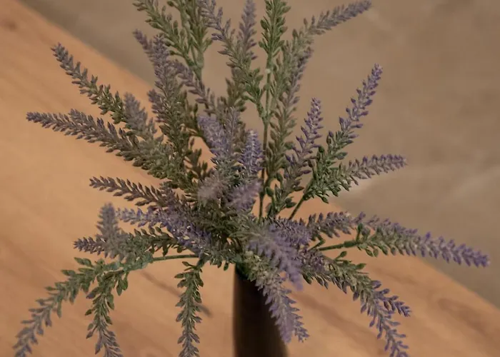 Filoxenia Mg Projects Sereno In Appartement