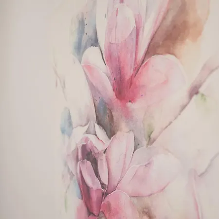 Filoxenia Mg Projects Sereno In