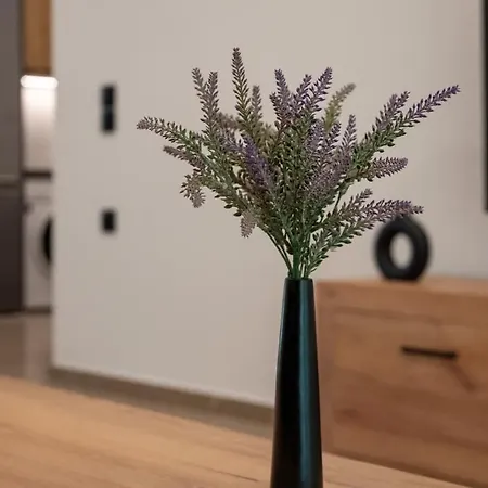 Filoxenia Mg Projects Sereno In *