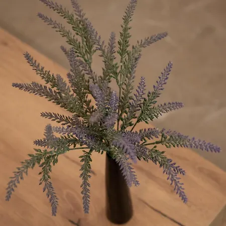 Filoxenia Mg Projects Sereno In Lejlighed